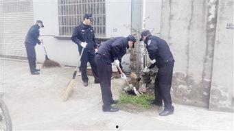 新狮街道爆料事件最新,揭秘背后真相与影响 第1张 新狮街道爆料事件最新,揭秘背后真相与影响 第1张